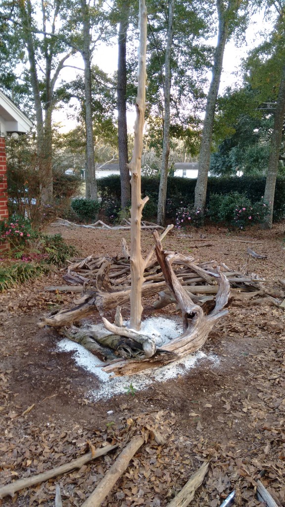 driftwood-tree-2015-8
